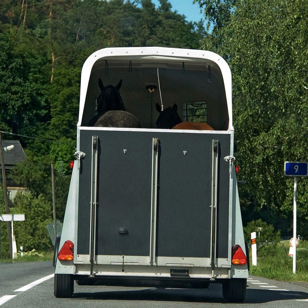 trailer training burnley