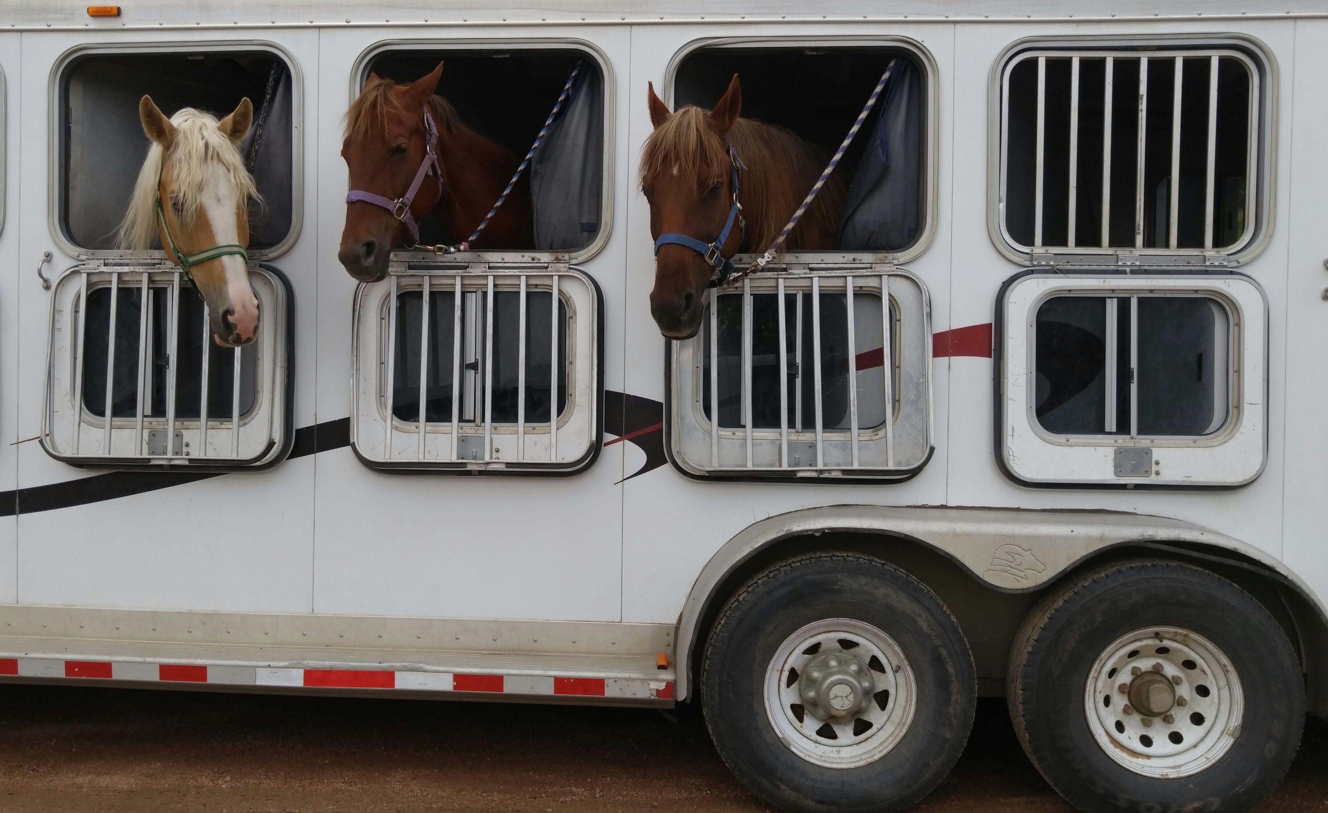 trailer training leeds